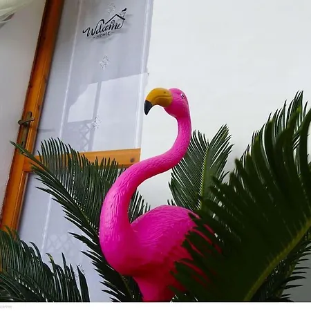 Casa Flamingo House * San Teodoro (Sardinia)