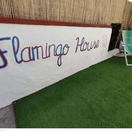 Casa Flamingo House 度假居 *