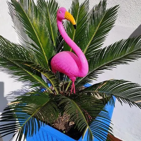 Casa Flamingo House Сasa de vacaciones