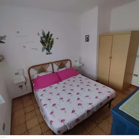 Casa Flamingo House 圣特奥多罗