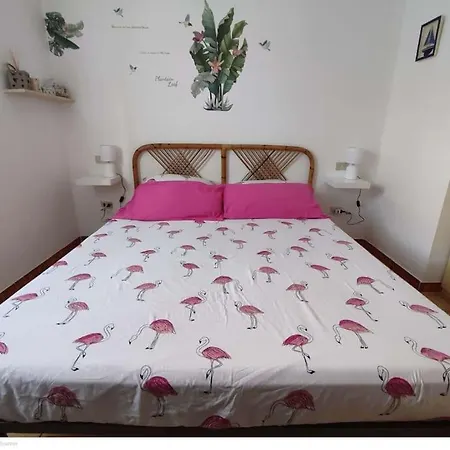Casa Flamingo House * 圣特奥多罗