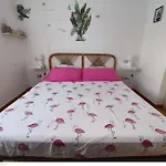 Casa Flamingo House * San Teodoro (Sardinia)