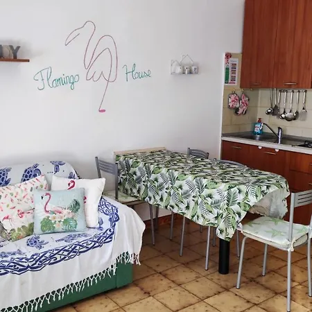 بيت للعطل Casa Flamingo House سان تيودورو