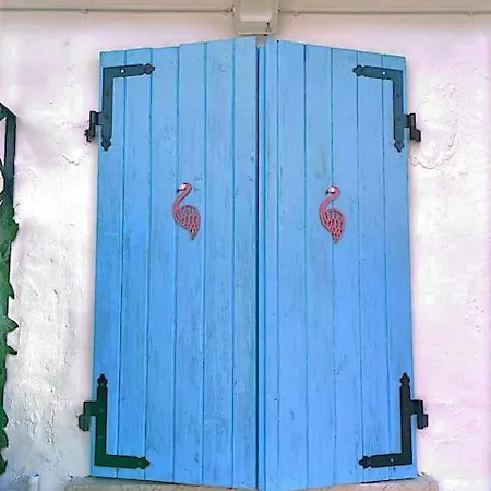 Casa Flamingo House *