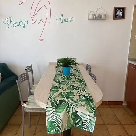 Casa Flamingo House *