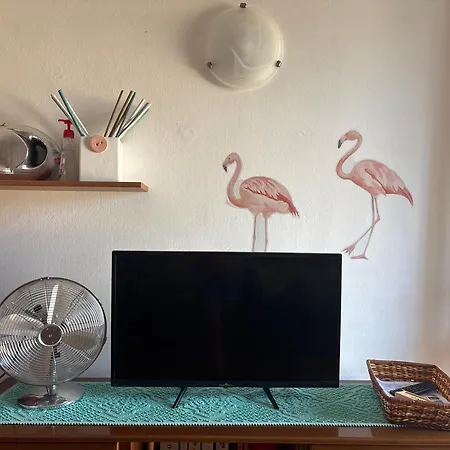 Casa Flamingo House * سان تيودورو