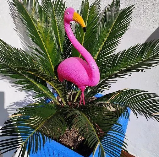 Casa Flamingo House Nyaraló