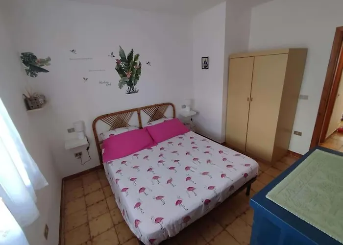 Casa Flamingo House San Teodoro