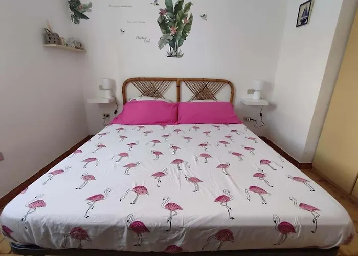 Casa Flamingo House * San Teodoro