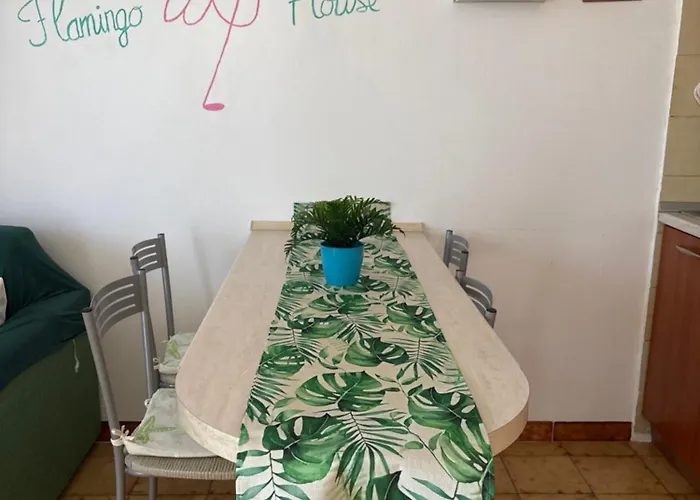 Casa Flamingo House *