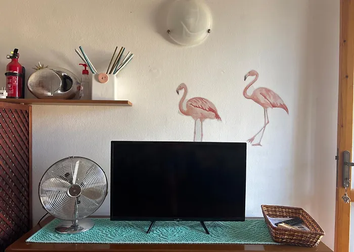 Casa Flamingo House * San Teodoro